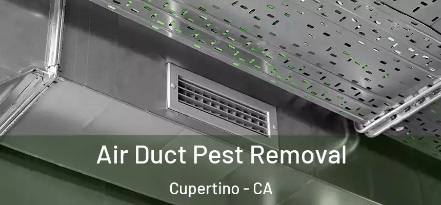  Air Duct Pest Removal Cupertino - CA