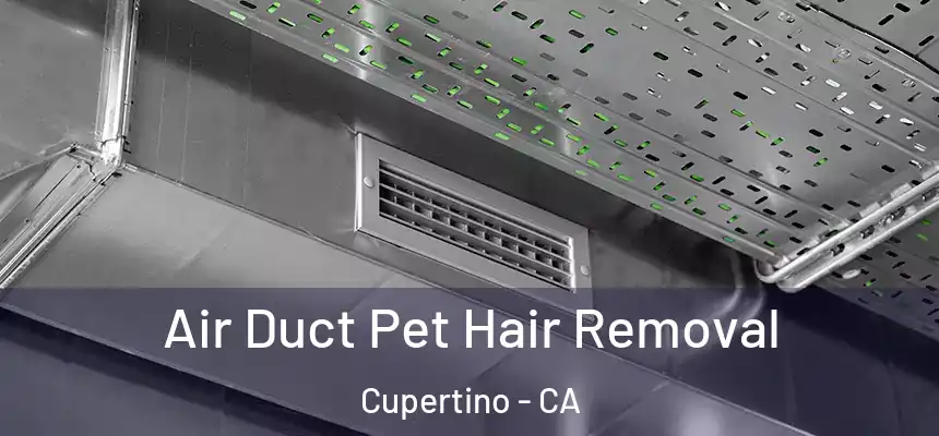  Air Duct Pet Hair Removal Cupertino - CA