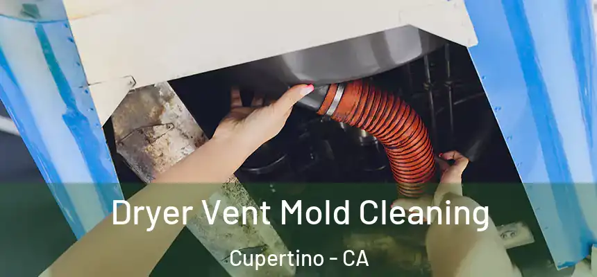  Dryer Vent Mold Cleaning Cupertino - CA