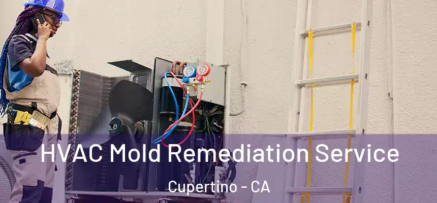  HVAC Mold Remediation Service Cupertino - CA