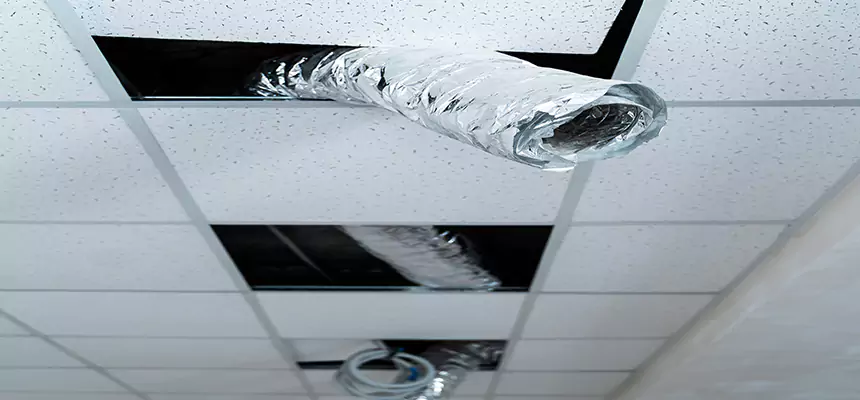 Affordable HVAC Sanitizing After Pest Removal in Cupertino