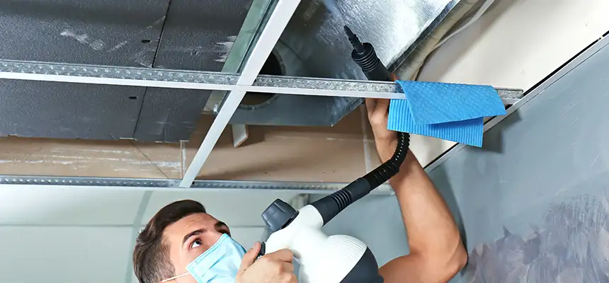 Our Air Duct Rodent Removal Services in Cupertino, CA