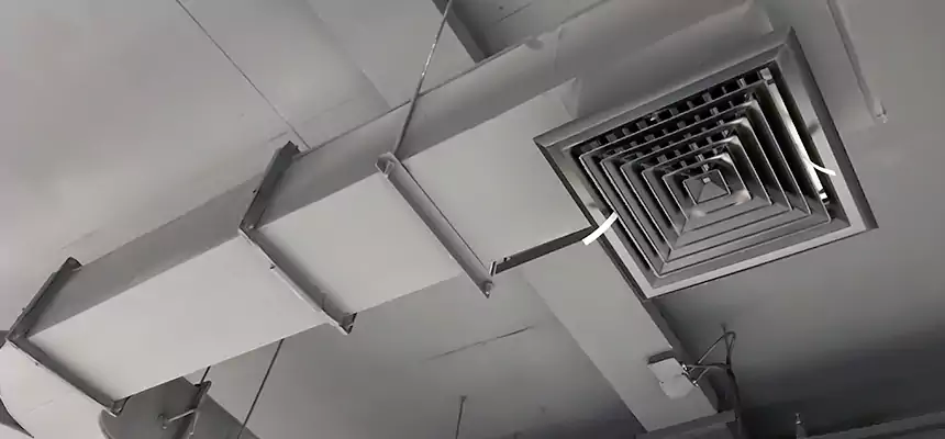 Restorative Allergy Relief Vent Cleaning – Coil, Blower & Housing Detail in Cupertino