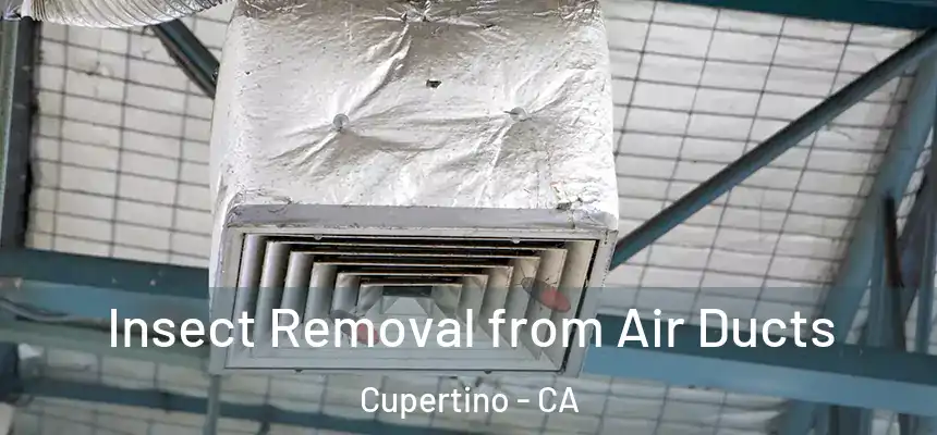  Insect Removal from Air Ducts Cupertino - CA