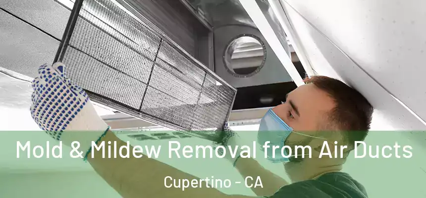  Mold & Mildew Removal from Air Ducts Cupertino - CA