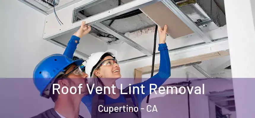  Roof Vent Lint Removal Cupertino - CA