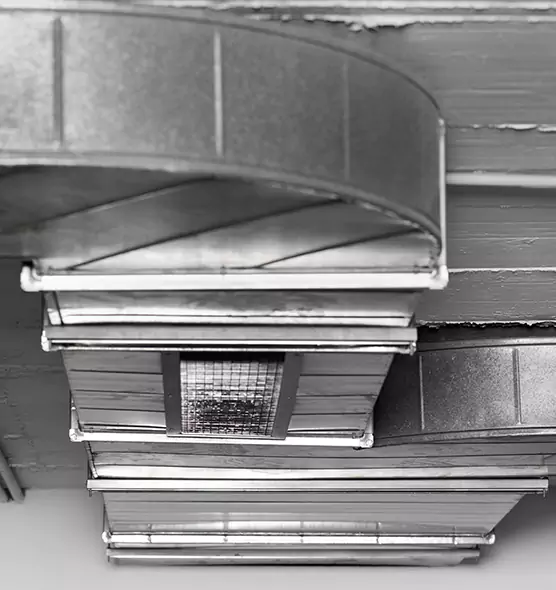 Professional Air Duct Pest Removal in Cupertino, CA