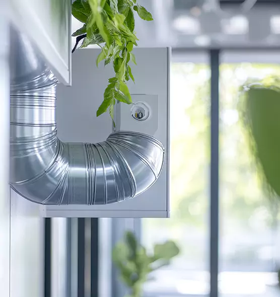 Professional Eco-Safe Dryer Vent Cleaning in Cupertino, CA