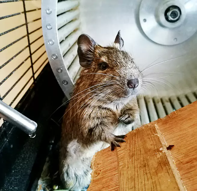 Why Homeowners & Businesses Trust Us Cupertino, CA?