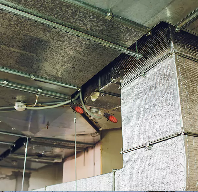 Why Homeowners & Businesses Trust Us Cupertino, CA?