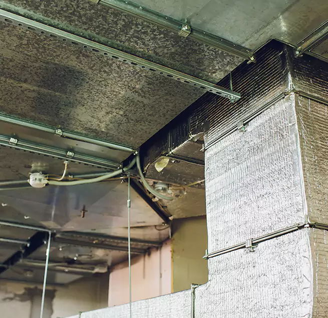 Why Homeowners & Businesses Trust Us in Cupertino, CA?